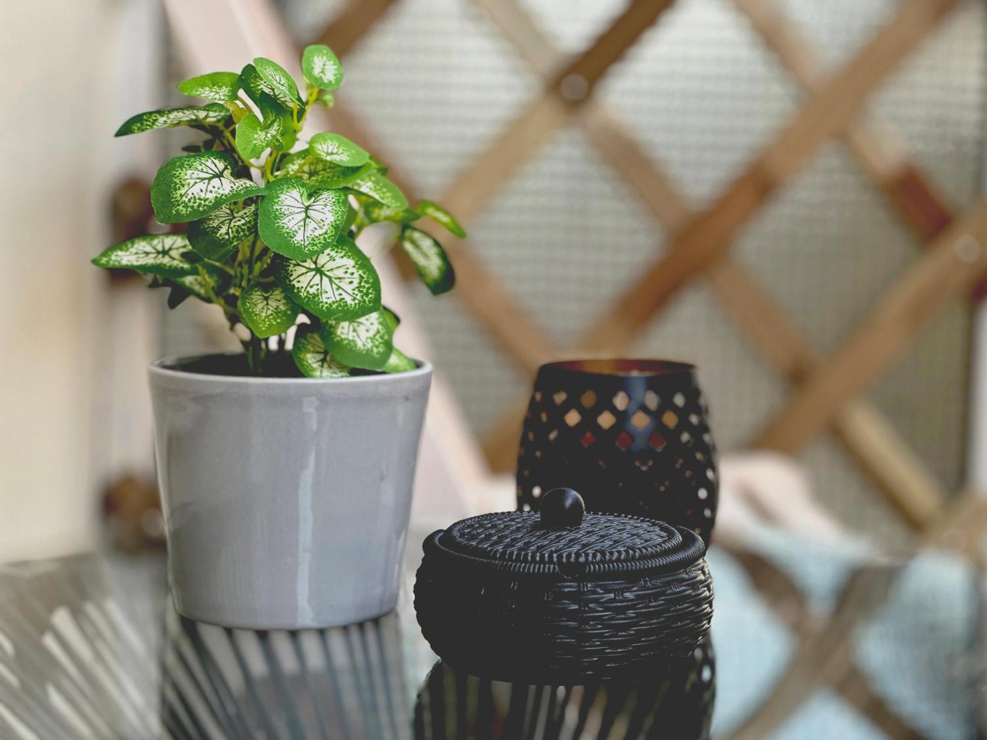 Comfy Den By Cozy Stories Apartment Alexandroúpolis Ngoại thất bức ảnh